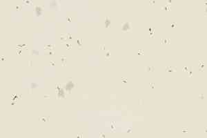 Линолеум Forbo Sphera Energetic 51222 vivid lace фото  | FLOORDEALER